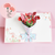 Mother's Day Card 3D Pop-up Carnation Flower Card